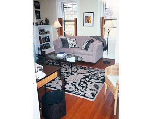 Primary Photo - 38 Linnaean St