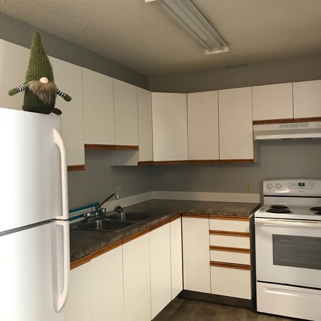 Building Photo - 3 Bed 1.5 Bath Unit in Red Deer, AB