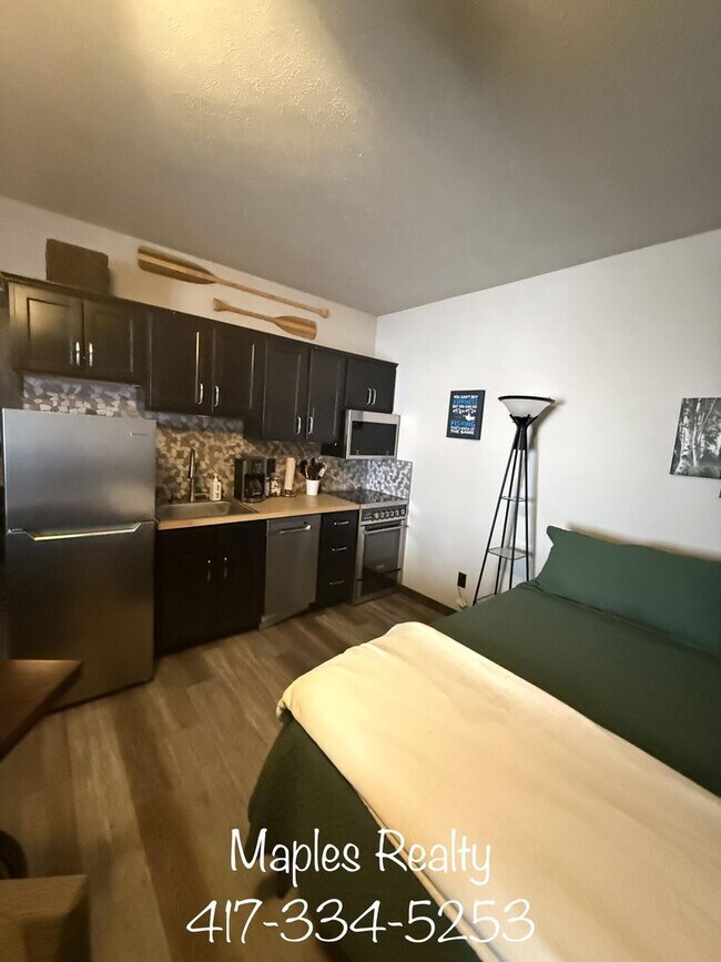Foto del edificio - NEW LISTING - ? Furnished Studio Apartment – Utilities Included – Branson, MO ? near Silver Dolla...