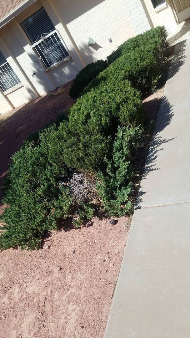 Foto del edificio - Home For Rent - Great Location on the Westside w/ Refrigerated Air!