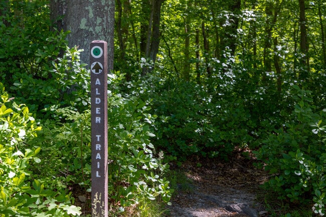 At Turkey Swamp State Park in Freehold Township, you can hike on one of the many trails.