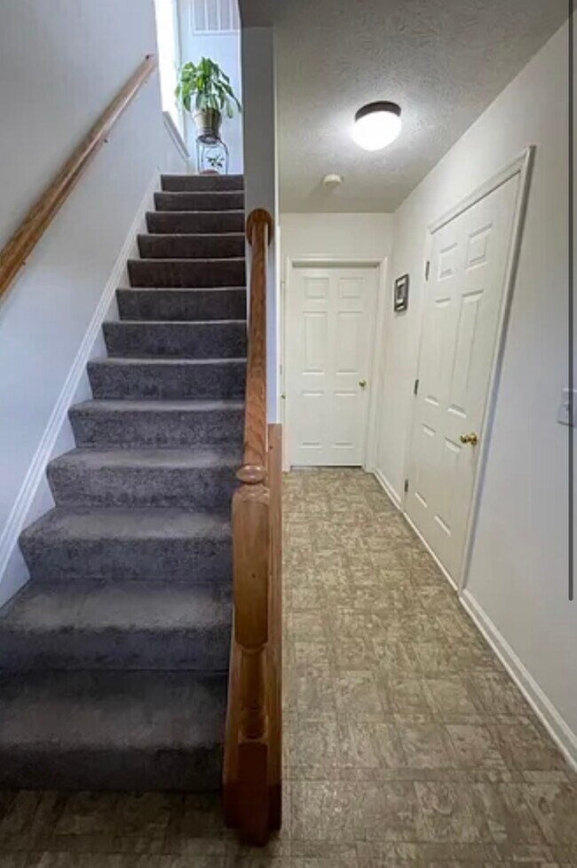 Foto del edificio - 125 Lighthouse Ln