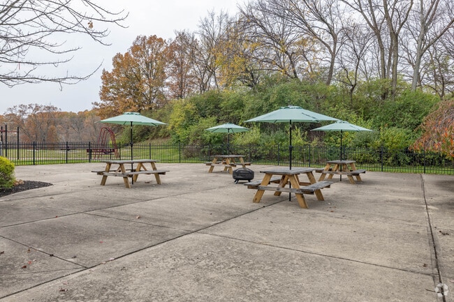 Courtyard - Views of Mt Airy