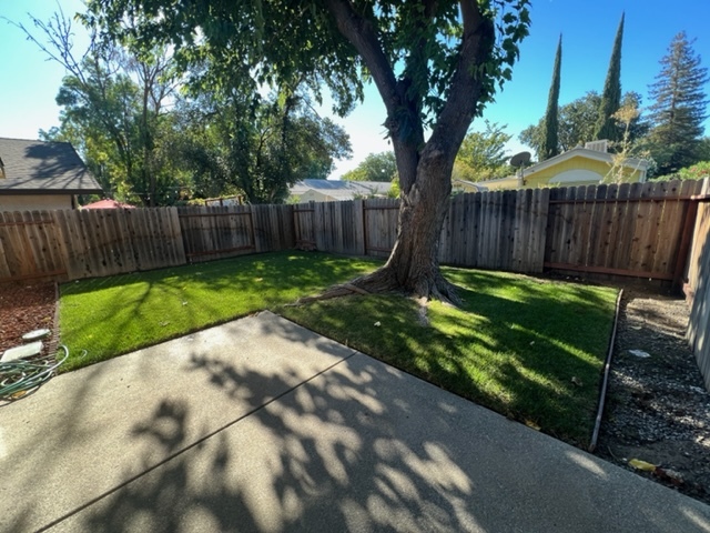 Backyard with irrigation - 2124 E 8th St
