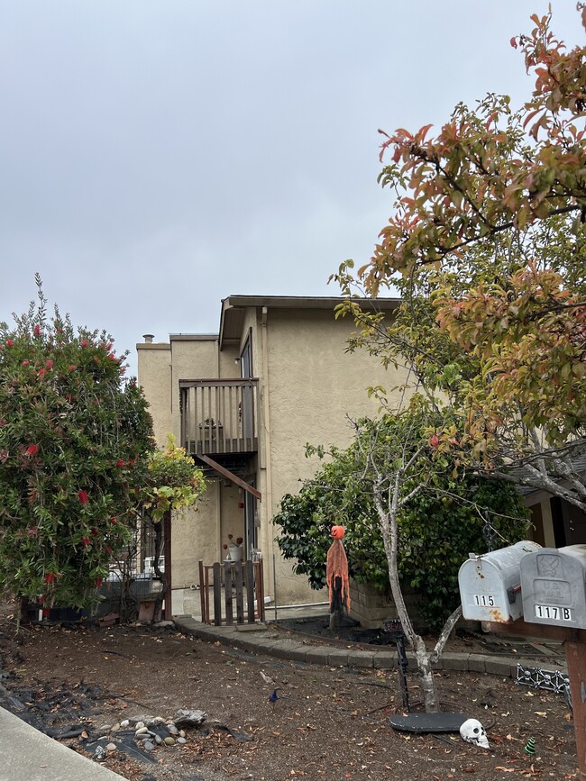 Building Photo - 115 Tiburon Ct