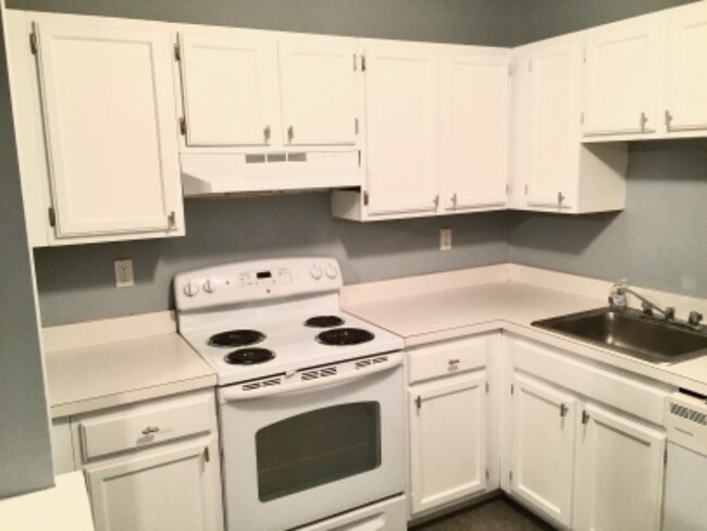 Building Photo - 2322 Cromwell Hills Dr
