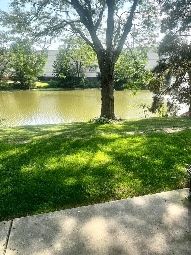 Foto del edificio - 1237 Williams Port Dr