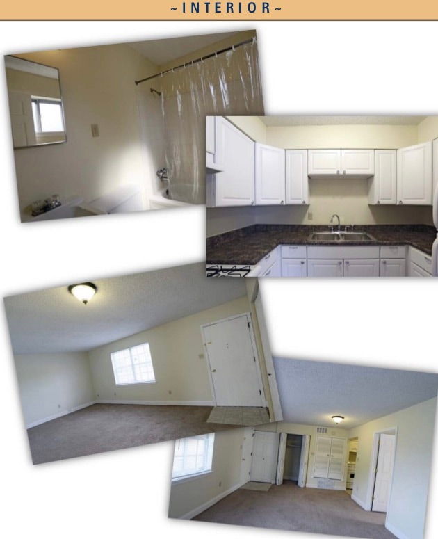 Building Photo - The Cove Apartments