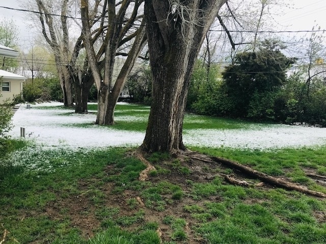 Building Photo - Beautiful single level home with fenced back yard