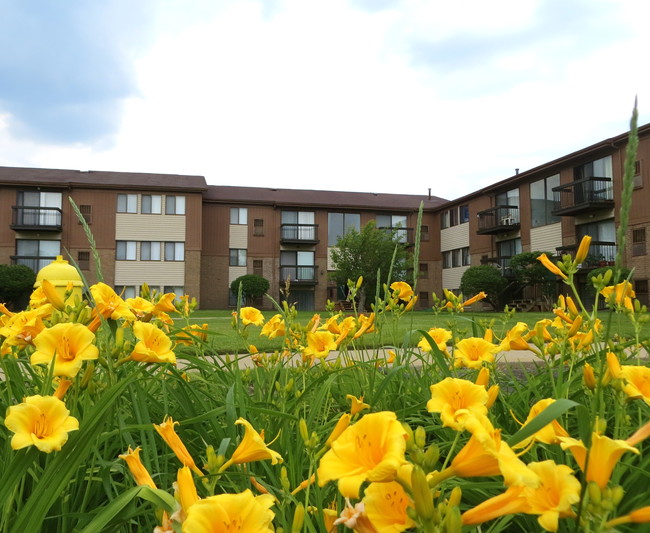 Flores de primavera - Trafalgar Square Apartments