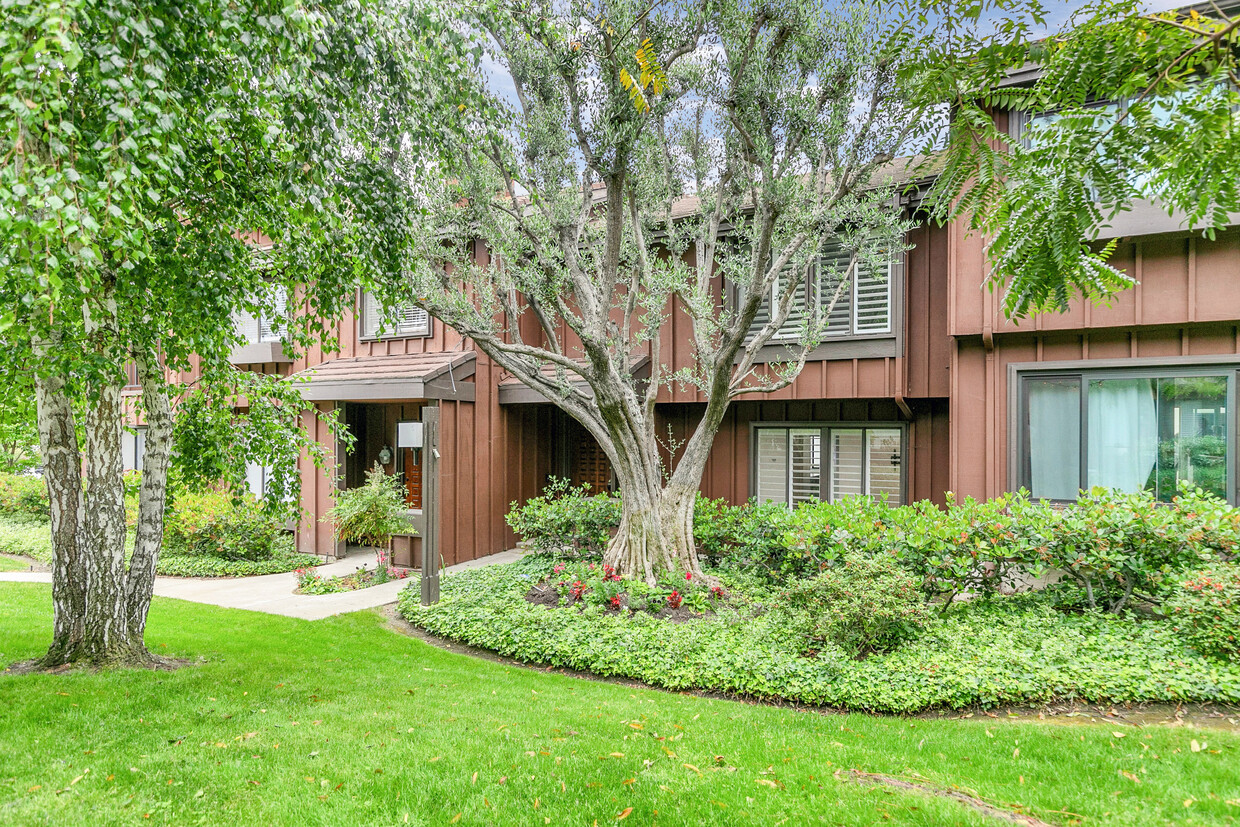 Primary Photo - 1278 Stonewood Ct