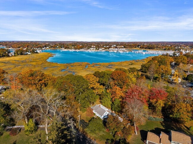 Foto del edificio - 31 Pawson Rd