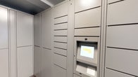 The Parcel Room is a multifunctional space that combines practical package management with an inviting communal atmosphere. At its core, the parcel area features a bank of modern, floor-to-ceiling smart lockers finished in a neutral gray. These secure units are equipped with a digital touchscreen terminal and keypad, allowing residents to retrieve deliveries conveniently at any time.

Adjacent to the parcel area, a sophisticated lounge space extends the room's functionality. The lounge is decorated with an elegant floral-patterned area rug in warm earth tones, anchoring multiple seating arrangements with white upholstered dining chairs surrounding dark wood round tables. A striking stone fireplace serves as a focal point against a teal accent wall, adding warmth and visual interest.

Large windows line the perimeter, flooding the space with natural light and offering views of the surrounding outdoor greenery. Decorative touches include wall-mounted white ceramic planters with cascading succulents and trailing greenery, as well as potted palms placed throughout. Recessed lighting and a statement chandelier complete the refined, welcoming ambiance of this well-designed communal space.
