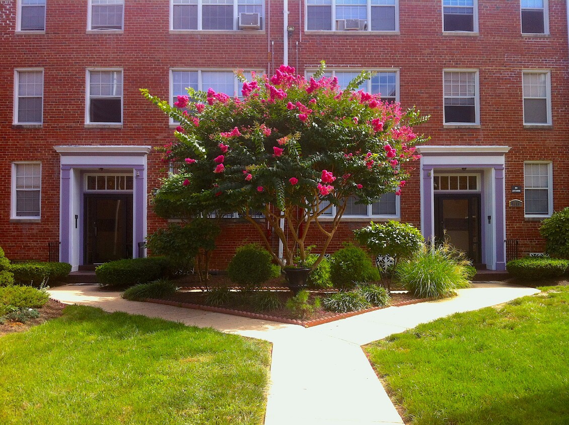 Primary Photo - New Hampshire & First Apartments