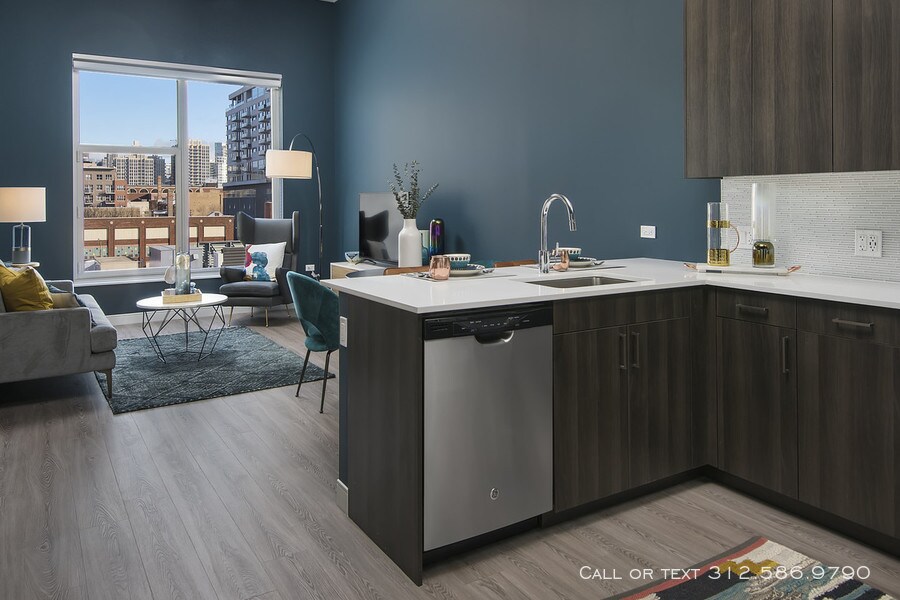 Foto principal - 728 N Morgan St #N-0808 - River West