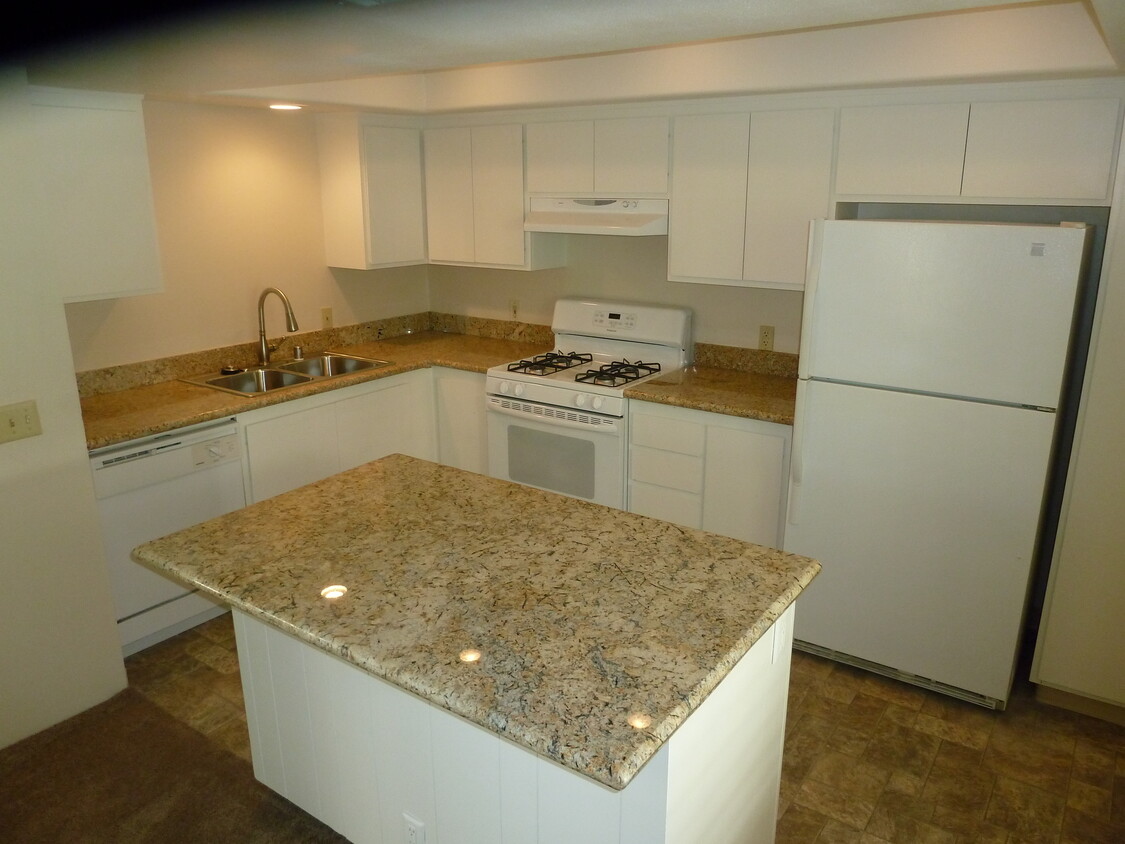Primary Photo - 217 Dolphin Way