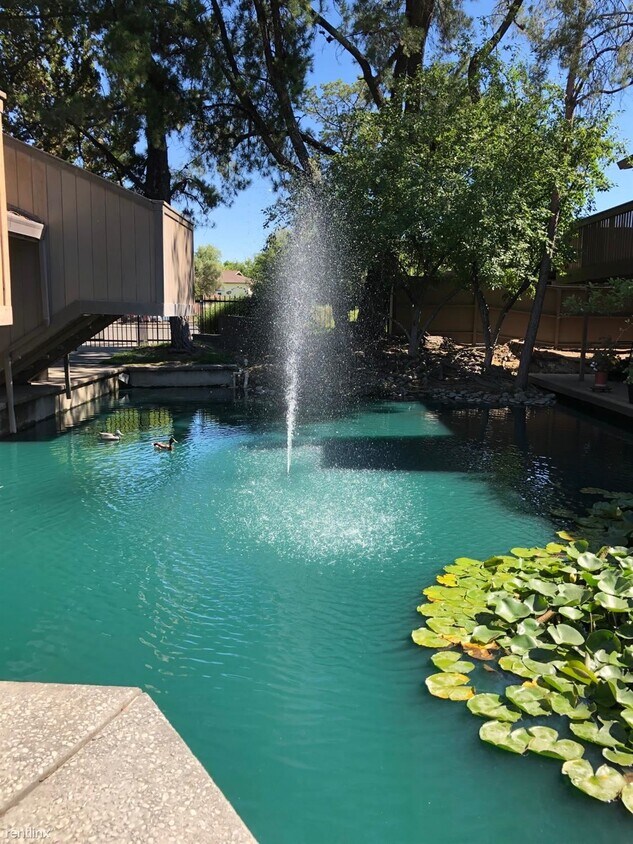 Primary Photo - 2 br, 1 bath Condo - 2468 Larkspur Lane 355