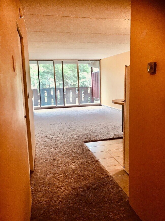 Lots of sunlight opens to private balcony - 200 Swanton St