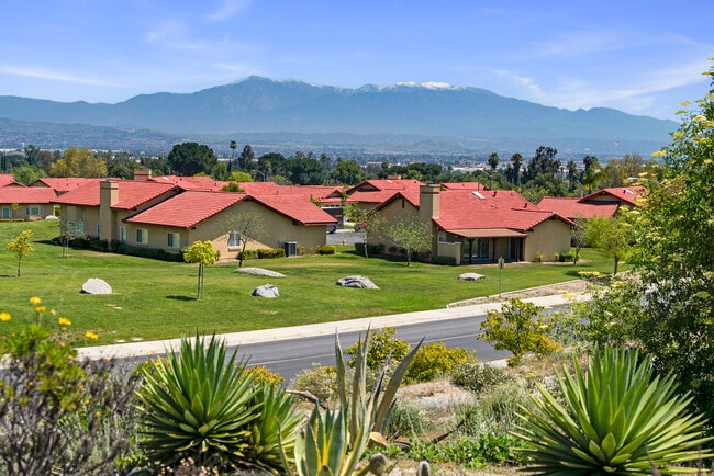 Building Photo - Westmont Village Homes - 55+ Senior Community