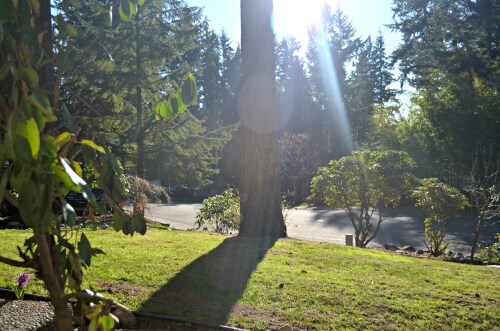 Foto principal - 10224 168th Pl NE