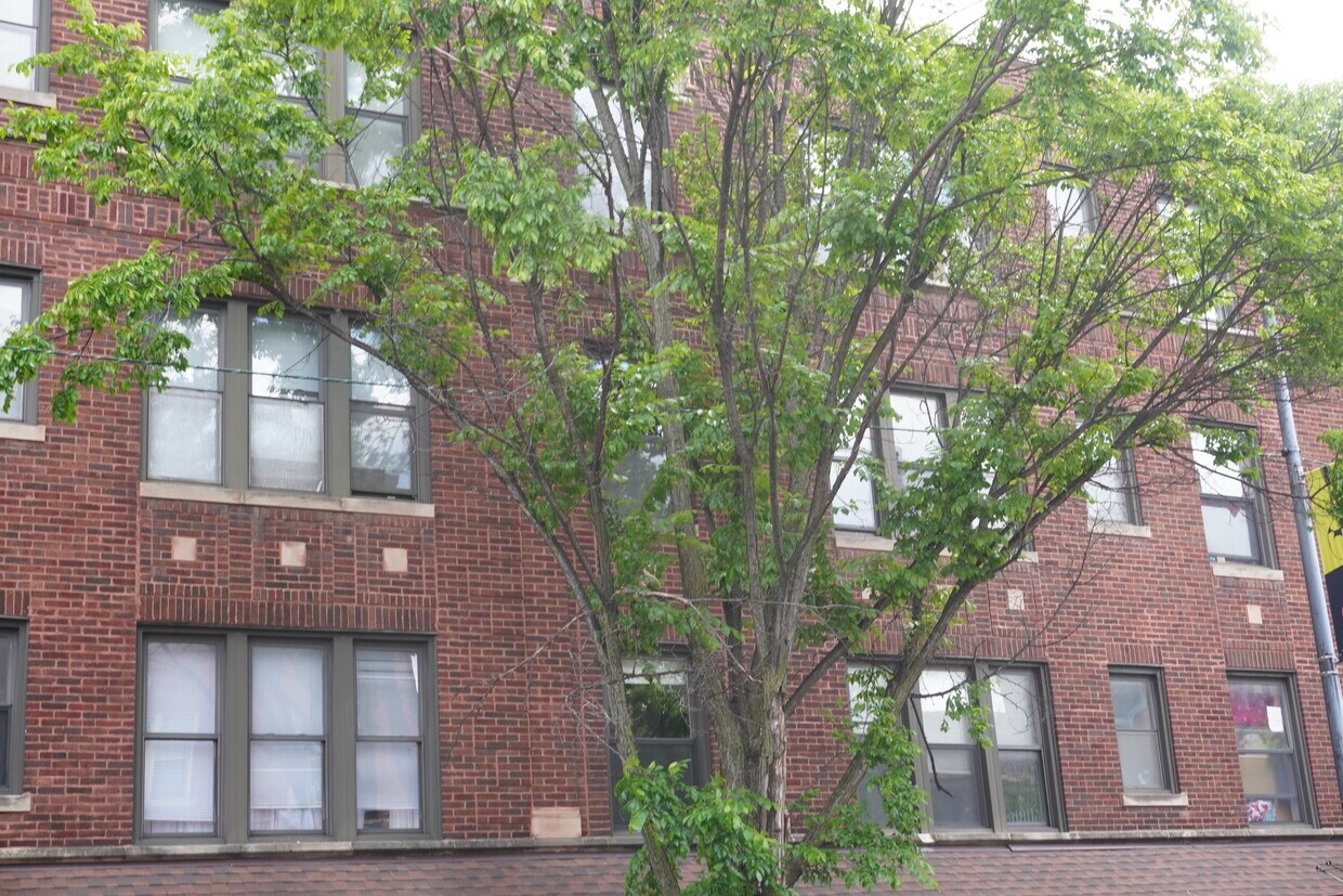 Foto del edificio - 3154 W Belle Plaine Ave