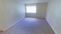 This single-story space presents a straightforward and functional layout centered around an open room finished with wall-to-wall carpet in a neutral tan tone. The flooring provides a soft, comfortable underfoot feel and complements the light beige walls that run throughout the space. White baseboards frame the perimeter of the room, adding a clean contrast to the neutral color palette.

A single window, dressed with vertical blinds, serves as the room's primary source of natural light. The window allows daylight to filter in, brightening the interior and creating a welcoming atmosphere. The blinds offer adjustable light control and a degree of privacy.

The room's walls are smooth and uniform in color, providing a versatile backdrop suitable for a variety of furnishing styles and décor preferences. The overall design is simple and understated, prioritizing practicality and ease of use. The open floor plan allows for flexible arrangement of furniture, making the space adaptable to different needs. The single-floor layout ensures ease of accessibility throughout, and the neutral finishes offer a blank canvas for any occupant looking to personalize the environment.