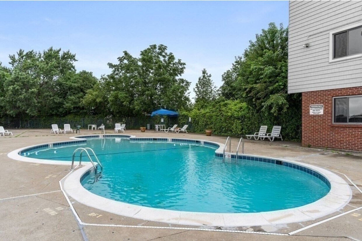 Luxury 2 bed condo includes Heat, hot wate... - Luxury 2 bed condo includes Heat, hot wate...