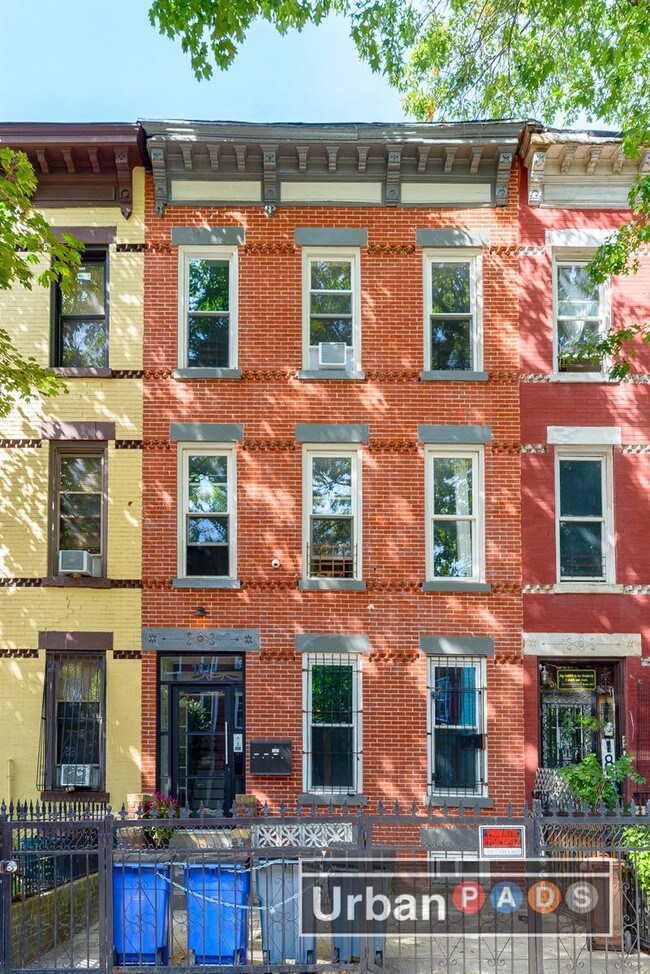 183 Hull St Unit 1, Brooklyn, NY 11233 Condo for Rent in Brooklyn, NY