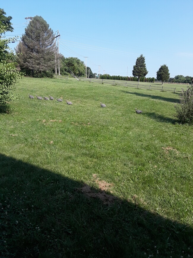 Foto del edificio - 992 Broad Ln