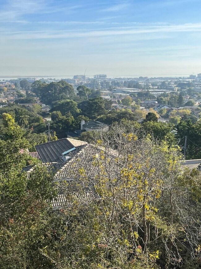 Building Photo - Fantastic views!  2 View Terrace