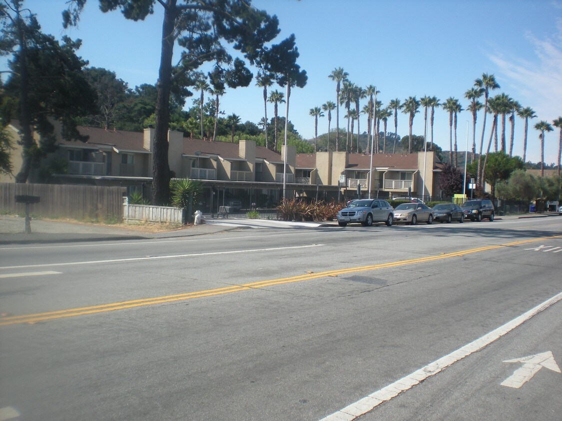 Building Photo - Mediterranea Condominiums