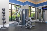 This fitness center is designed with both functionality and aesthetics in mind, offering a comprehensive workout environment across a single level. The space is distinguished by its elevated ceilings adorned with bold navy, gold, and cream horizontal banding, lending the room a vibrant yet polished character. Crown molding adds a refined architectural touch throughout.

Large, floor-to-ceiling windows line the perimeter, flooding the interior with abundant natural light and framing views of lush greenery outside. Full-length mirrors along one wall visually expand the space and support proper form during workouts.

The cardio zone is well-appointed with a row of treadmills and elliptical machines, each equipped with individual digital displays. Recumbent and upright bikes provide additional low-impact options. Mounted flat-screen televisions are positioned for easy viewing from the cardio equipment.

The strength training area features a multi-station cable machine and a power rack, suitable for a variety of resistance exercises. A separate free-weight section includes an adjustable bench and additional accessories. Durable rubber flooring throughout ensures safety and comfort. Glass double doors connect to an adjacent studio space, providing a versatile layout for varied fitness activities.