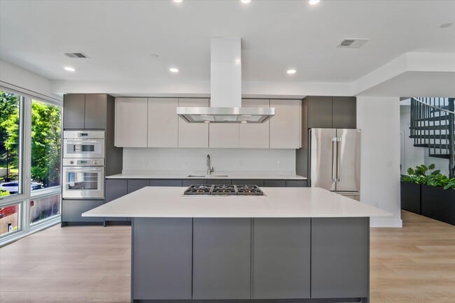 Open-Concept Kitchen - Le Glebe