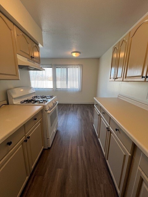 Kitchen Looking into Dining Room - Trailside Apartments