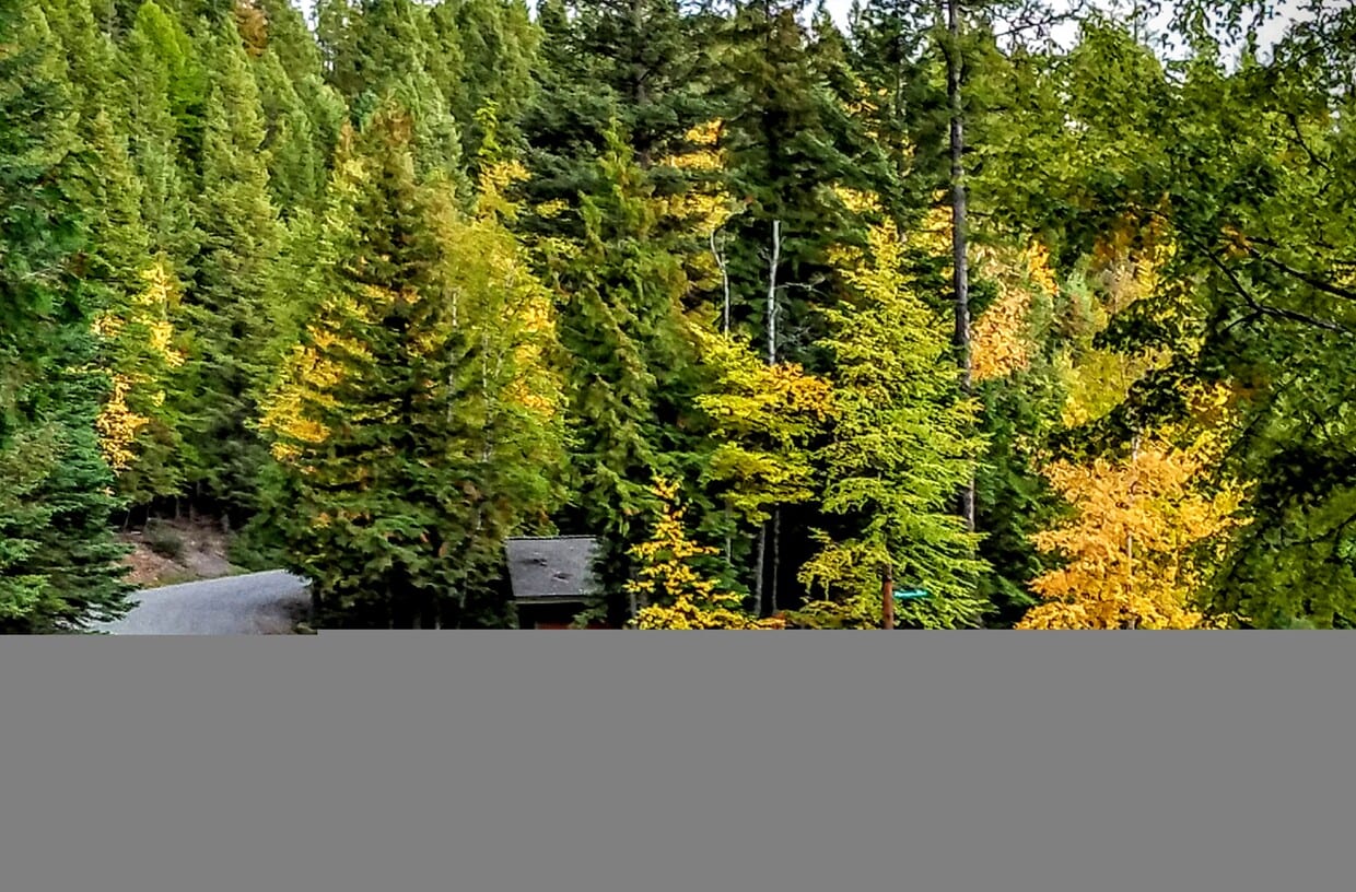 Mountainside driveway - 3000 Ptarmigan Blvd