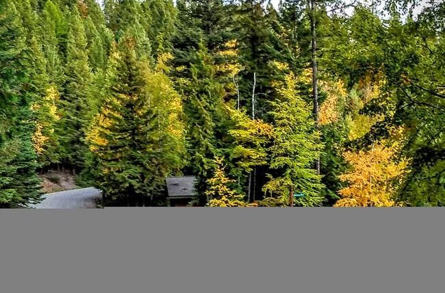 Mountainside driveway - 3000 Ptarmigan Blvd