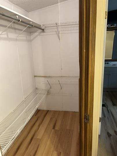 Building Photo - 213 Cherry Tree Dr