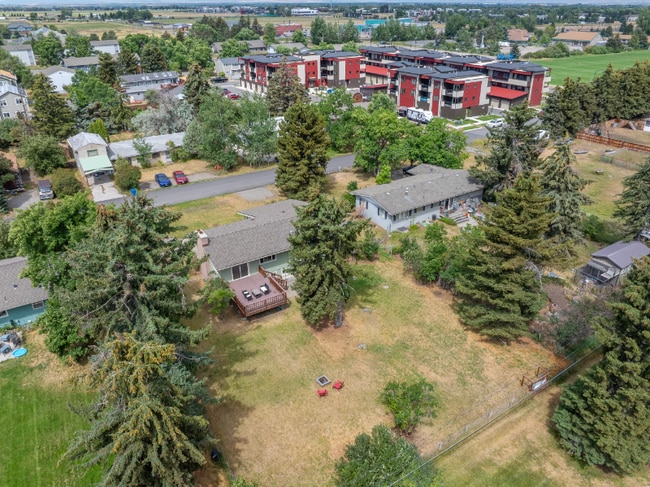 Building Photo - 1608 Alder Ct