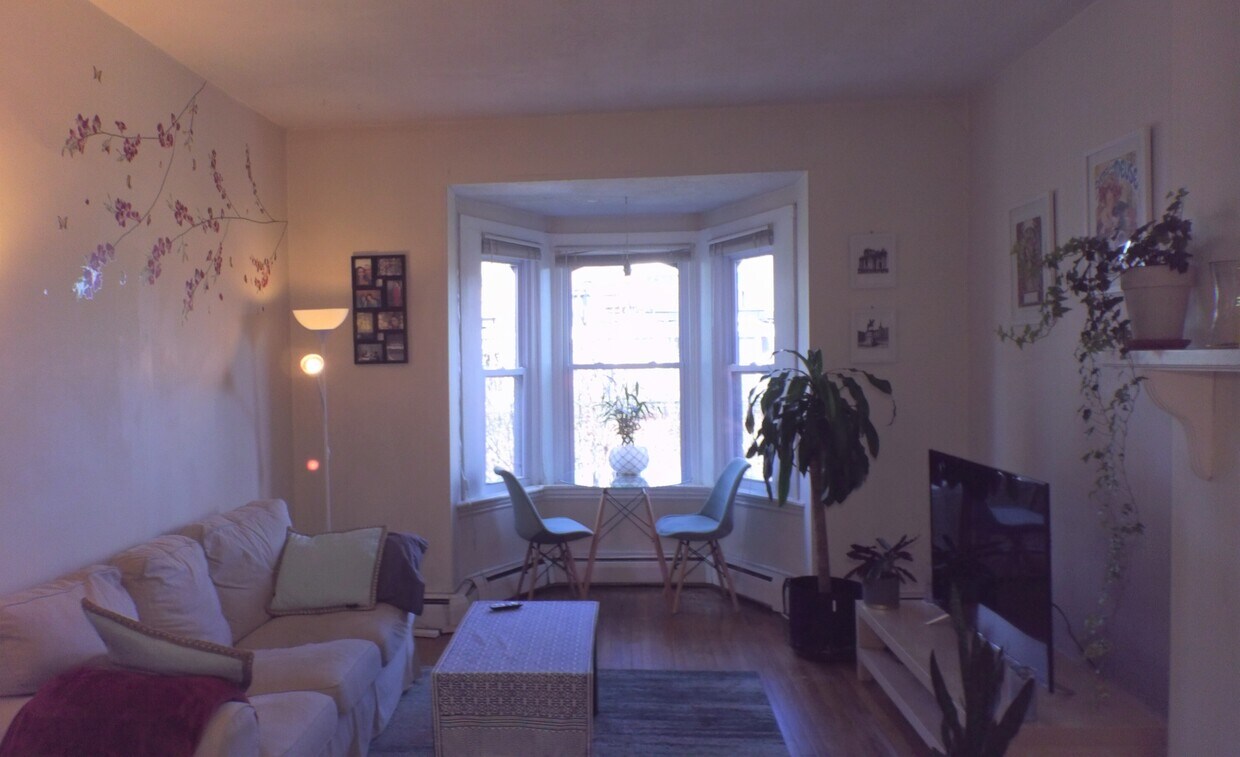 Primary Photo - 30 Holyoke St