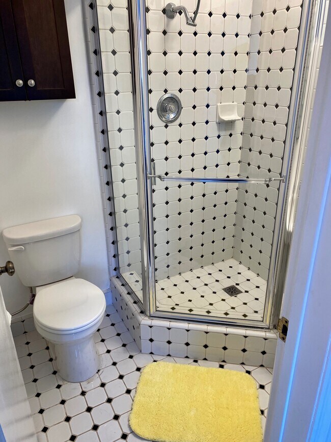 Bathroom - 270 Tavistock Ave