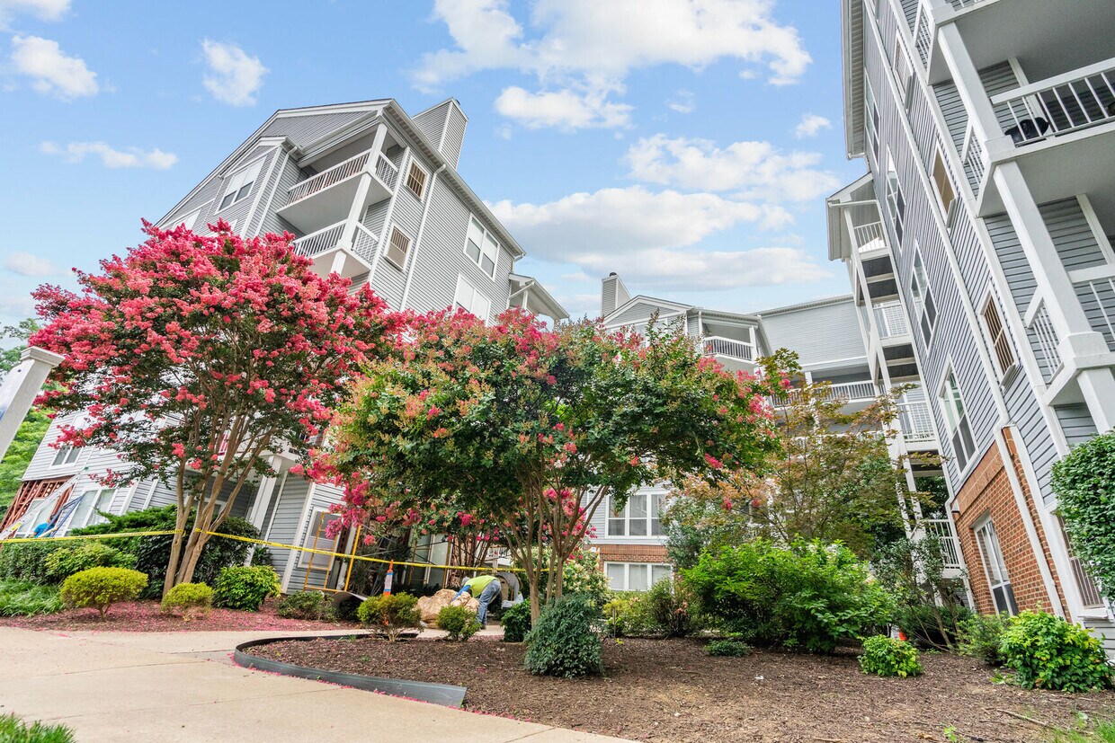 3175 Summit Square Dr, Oakton, VA 22124 Townhome Rentals in Oakton VA