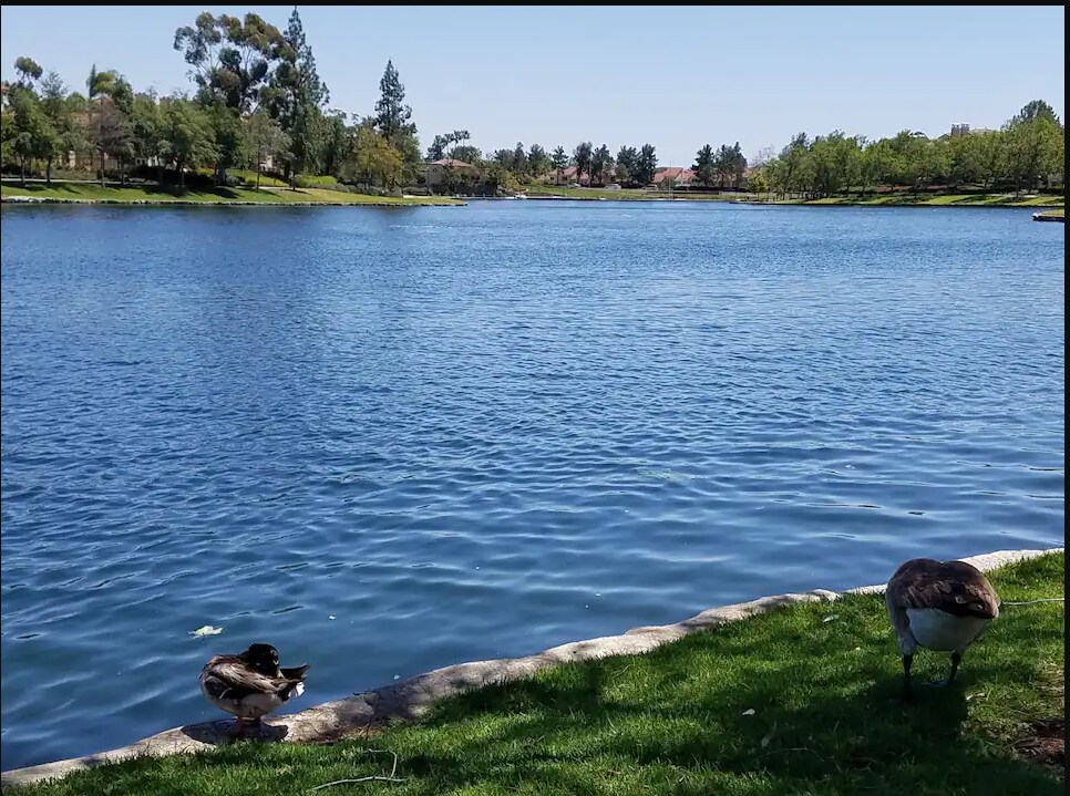 Rancho Santa Margarita Lake - 143 Montana del Lago Dr