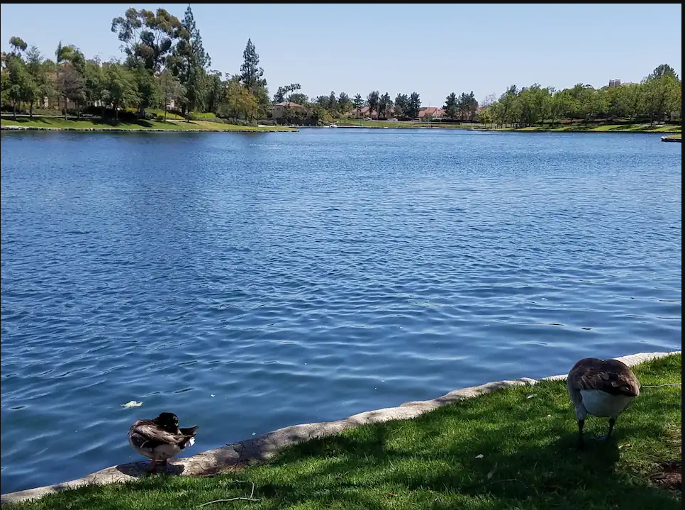 Rancho Santa Margarita Lake - 143 Montana del Lago Dr