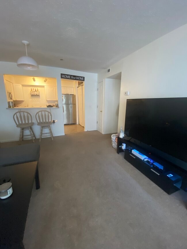 Unit B- Living Room - Sycamore Place