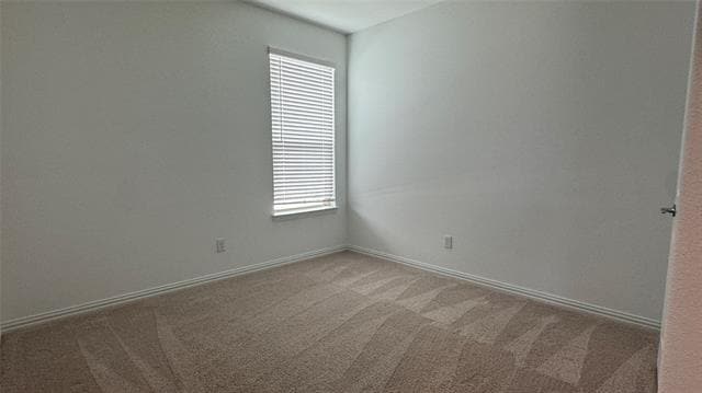 Building Photo - 917 Rosebay Dr
