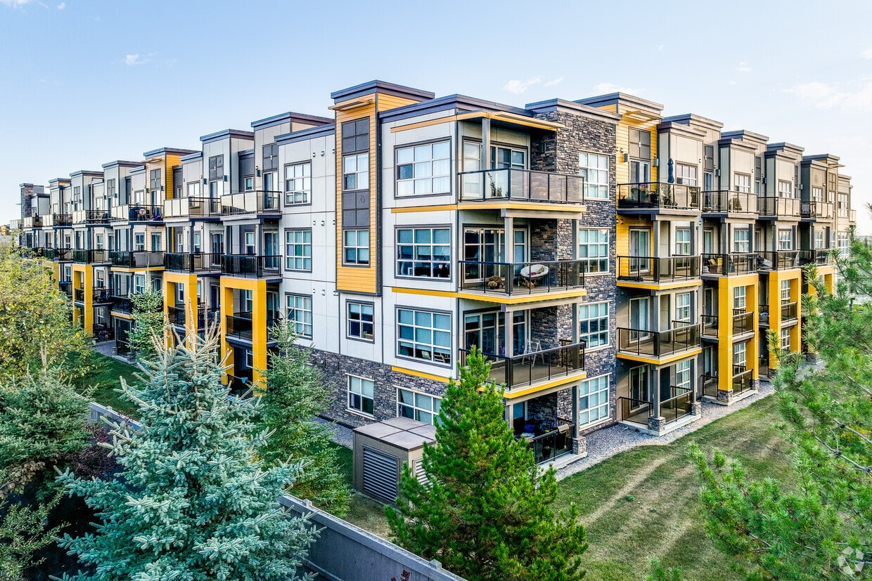 Primary Photo - The Level