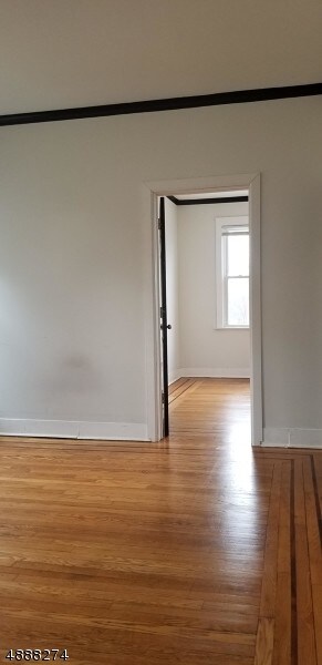 Primary Photo - 117 University Pl