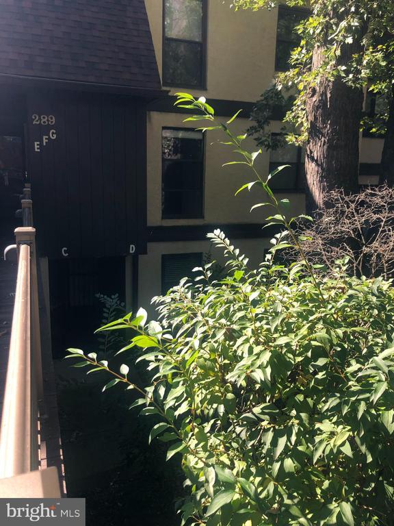 Foto del edificio - 289 Shawmont Ave