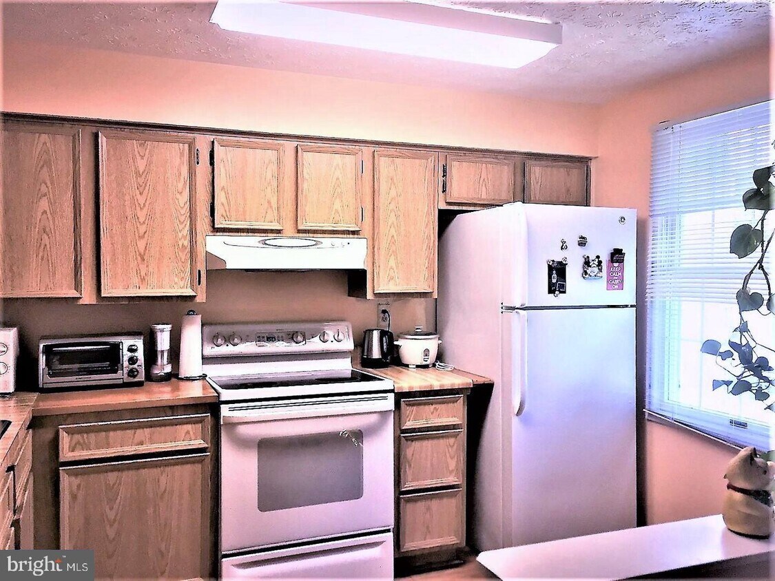 Foto principal - 1648 Harvest Green Ct