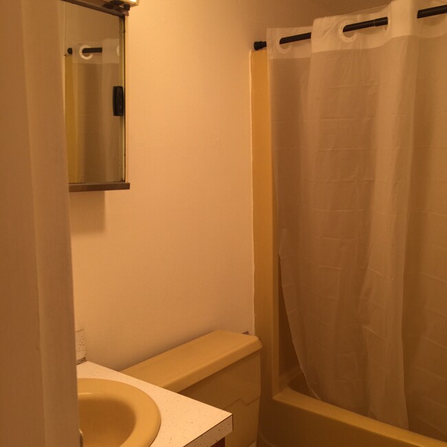 Bathroom View - 1805 King College Rd